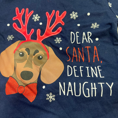 Christmas Dog Print Pyjama Set